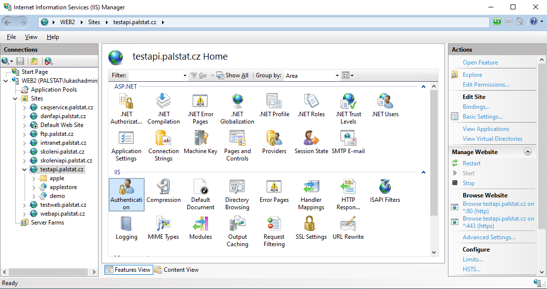 caqapi-iis-main.png
