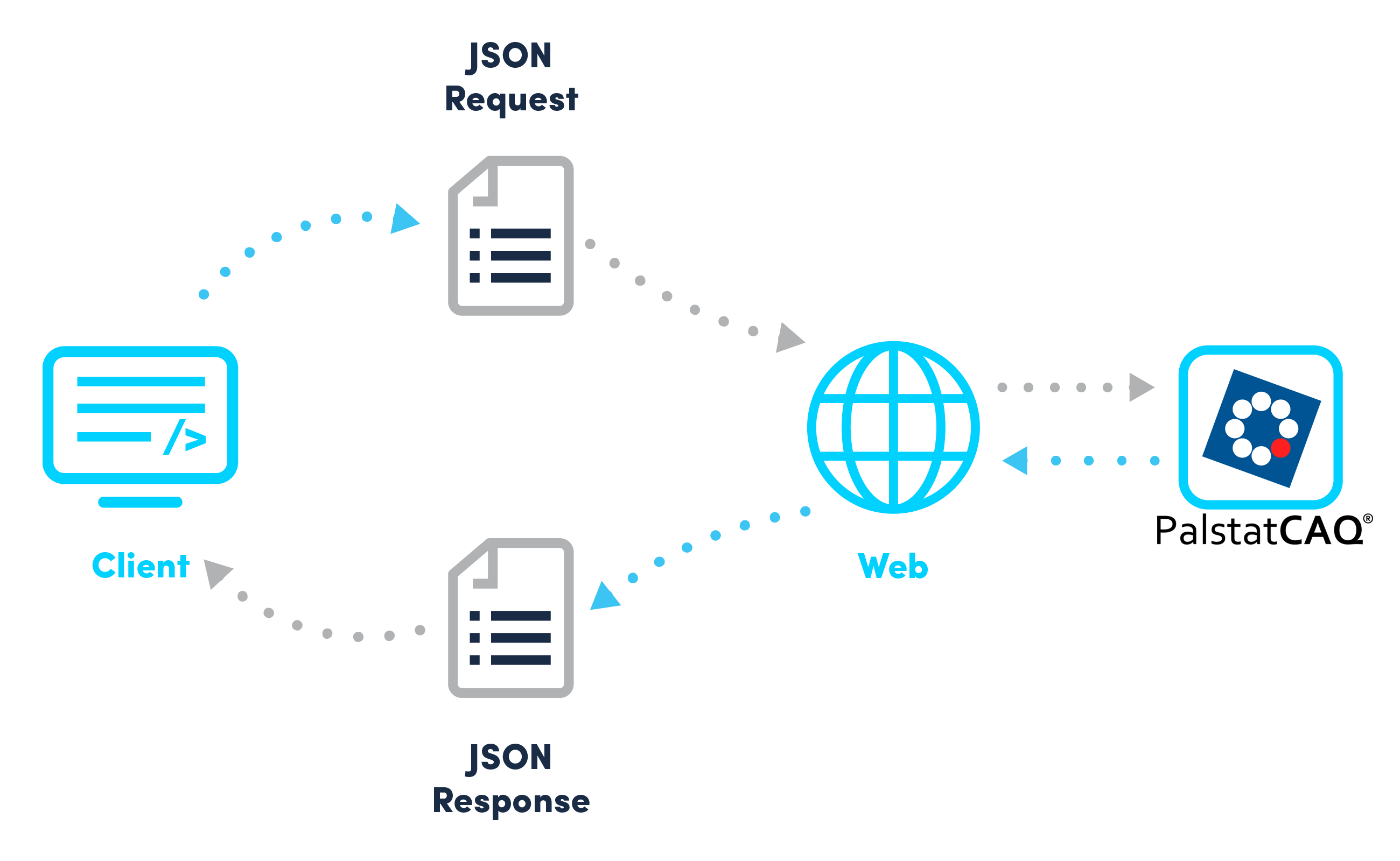 caqapi-json-diagram.png